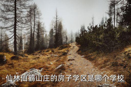 仙林仙鹤山庄的房子学区是哪个学校