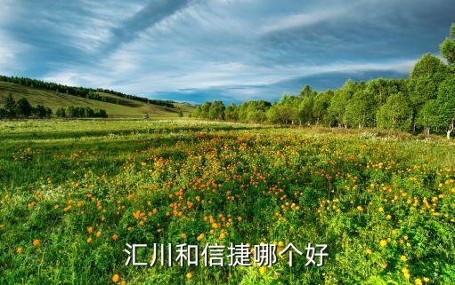 汇川和信捷哪个好