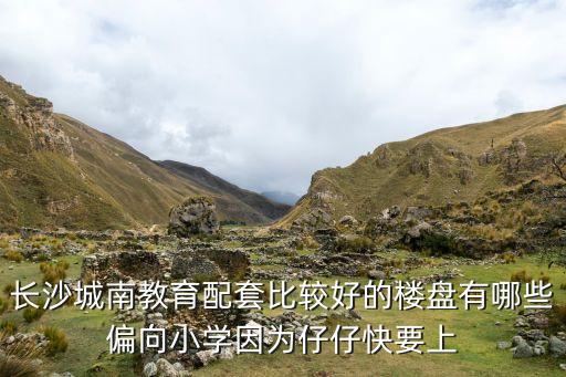 长沙城南教育配套比较好的楼盘有哪些偏向小学因为仔仔快要上