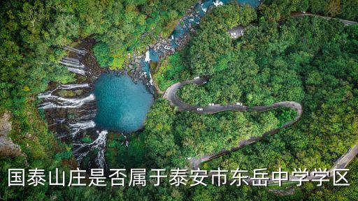 国泰山庄是否属于泰安市东岳中学学区
