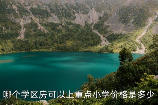哪个学区房可以上重点小学价格是多少