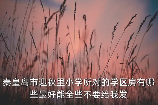 秦皇岛市迎秋里小学所对的学区房有哪些最好能全些不要给我发