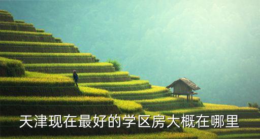 天津现在最好的学区房大概在哪里