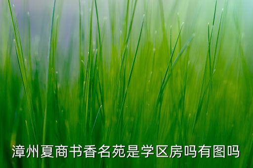 漳州夏商书香名苑是学区房吗有图吗
