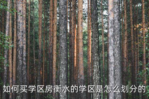 如何买学区房衡水的学区是怎么划分的