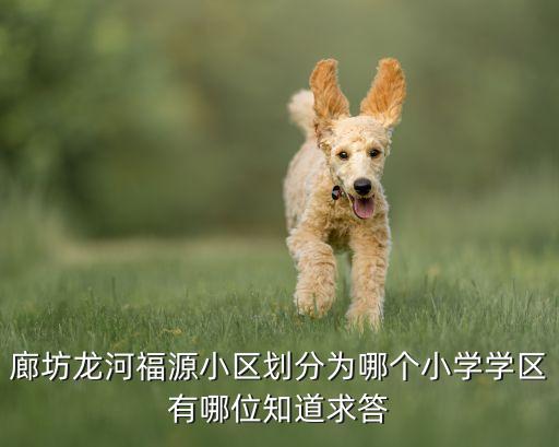 廊坊龙河福源小区划分为哪个小学学区有哪位知道求答