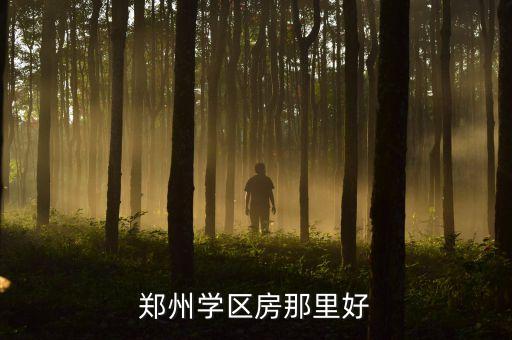 郑州买学区房买哪些小区，学区房重要吗在哪买学区房最好