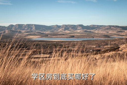 学区房的房子买哪个比较好，学区房到底买哪好了