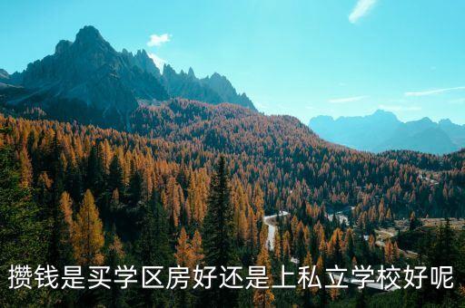 攒钱是买学区房好还是上私立学校好呢