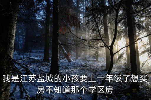 我是江苏盐城的小孩要上一年级了想买房不知道那个学区房