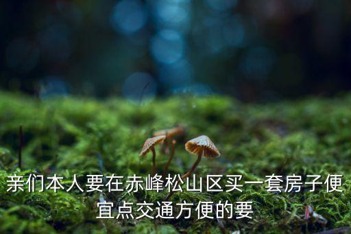 亲们本人要在赤峰松山区买一套房子便宜点交通方便的要