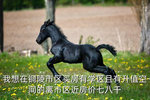 万达公馆 学区房有哪些，武汉经开万达soho公寓对口小学
