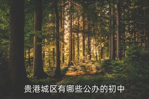 贵港城区有哪些公办的初中