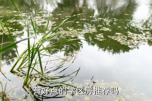 有好点的学区房推荐吗