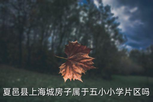 夏邑县上海城房子属于五小小学片区吗
