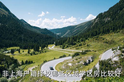 非上海户籍择校哪些区域学区房比较好