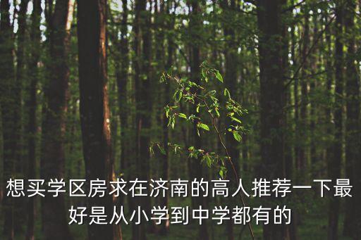 想买学区房求在济南的高人推荐一下最好是从小学到中学都有的