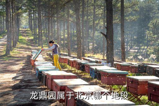 北京哪些地方是学区房，北京朝阳区太阳宫的人大学区房有哪些