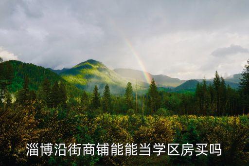 淄博沿街商铺能能当学区房买吗