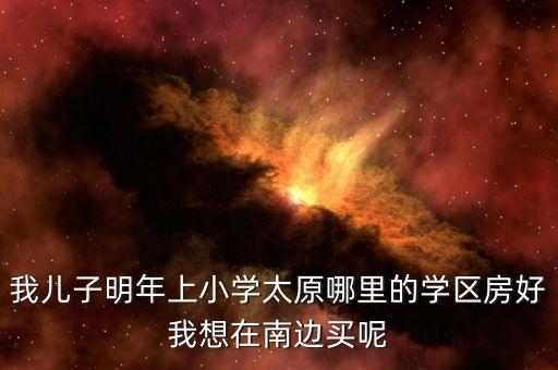 我儿子明年上小学太原哪里的学区房好我想在南边买呢