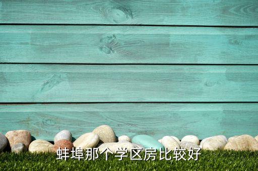 蚌埠那个学区房比较好