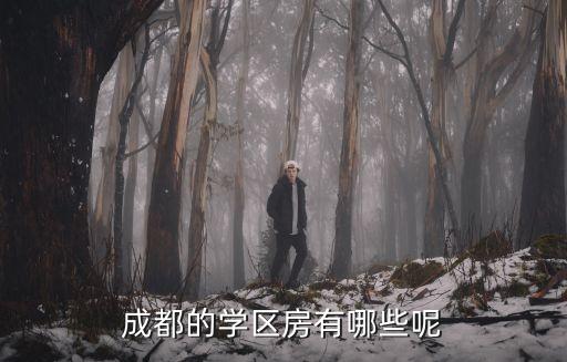 成都的学区房有哪些呢