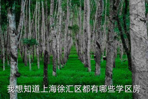 我想知道上海徐汇区都有哪些学区房