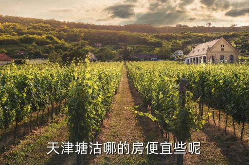 天津塘沽哪的房便宜些呢