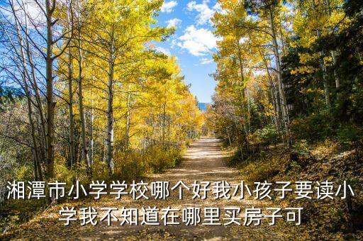 湘潭花石小学学区房有哪些，湘潭市小学学校哪个好我小孩子要读小学我不知道在哪里买房子可
