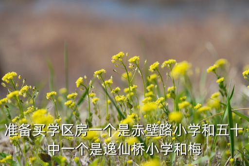 准备买学区房一个是赤壁路小学和五十中一个是逸仙桥小学和梅