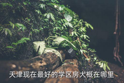 天津现在最好的学区房大概在哪里