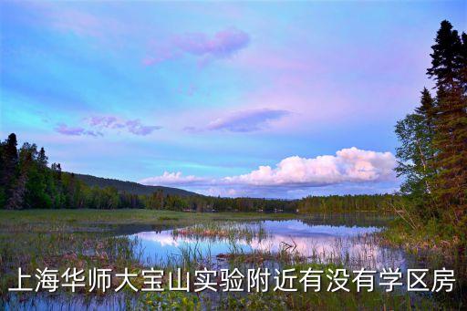 上海华师大宝山实验附近有没有学区房