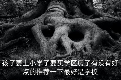 孩子要上小学了要买学区房了有没有好点的推荐一下最好是学校