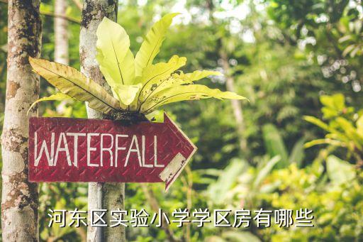 天津哪个区有学区房的楼盘，天津南开二手房哪些小区属于学片房