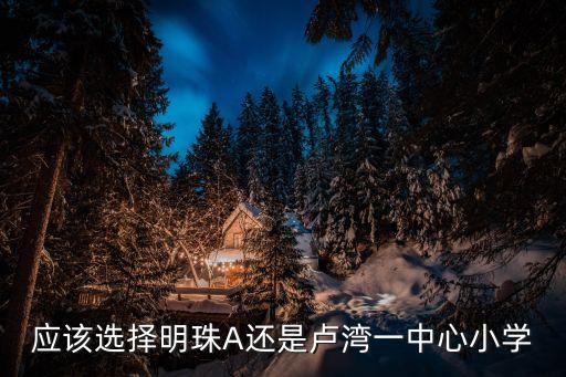 应该选择明珠A还是卢湾一中心小学