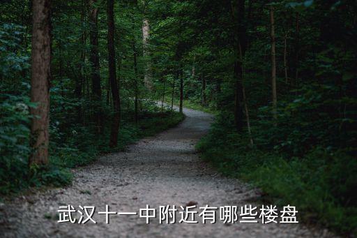 武汉十一中附近有哪些楼盘