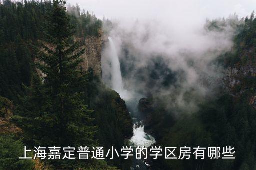上海嘉定普通小学的学区房有哪些