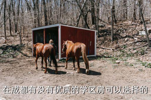 成都买哪些学区房，成都好的学区房求推荐