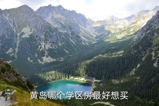 黄岛哪个学区房最好想买