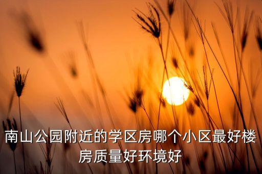 南山公园附近的学区房哪个小区最好楼房质量好环境好