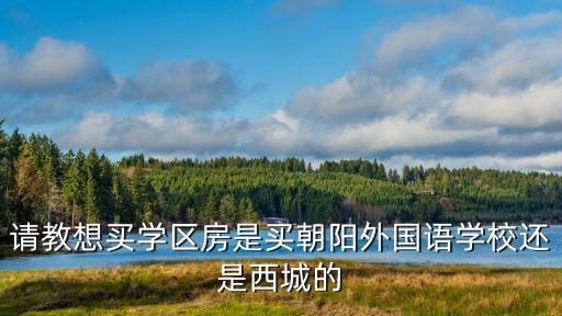 请教想买学区房是买朝阳外国语学校还是西城的
