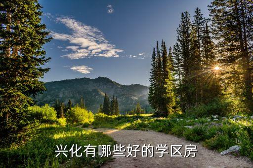 兴化有哪些好的学区房