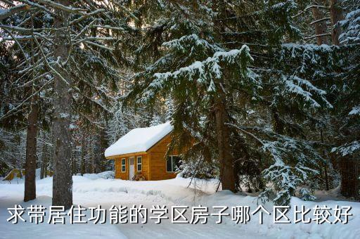 求带居住功能的学区房子哪个区比较好