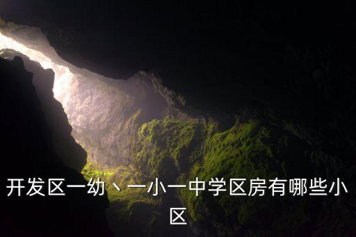 开发区一幼丶一小一中学区房有哪些小区