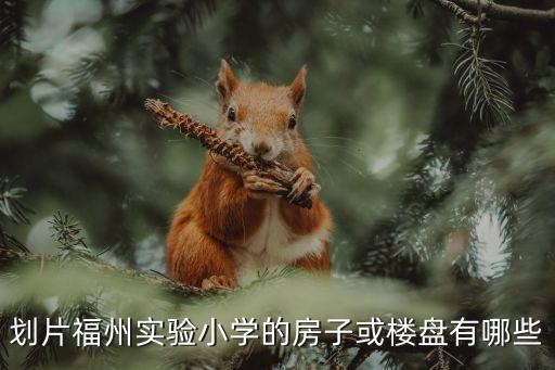划片福州实验小学的房子或楼盘有哪些