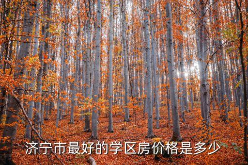 济宁哪些学区房比较火，济宁市最好的学区房价格是多少