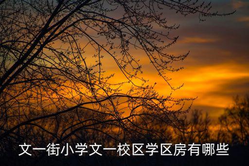 文一街小学文一校区学区房有哪些