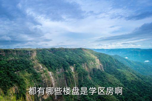 武平学区房有哪些，都有哪些楼盘是学区房啊