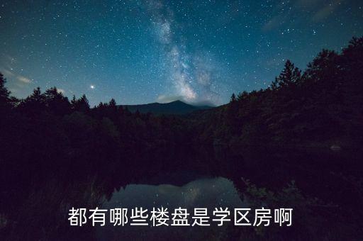 项城学区房都是哪些，都有哪些楼盘是学区房啊
