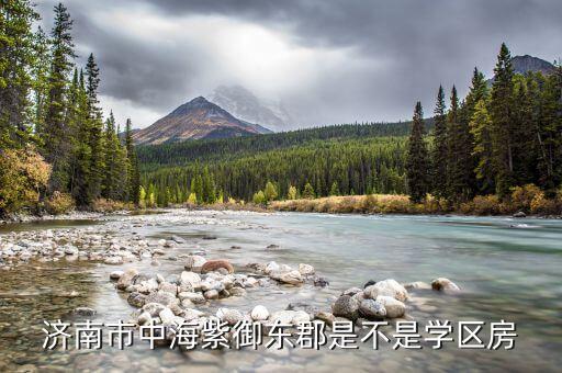 济南市中海紫御东郡是不是学区房